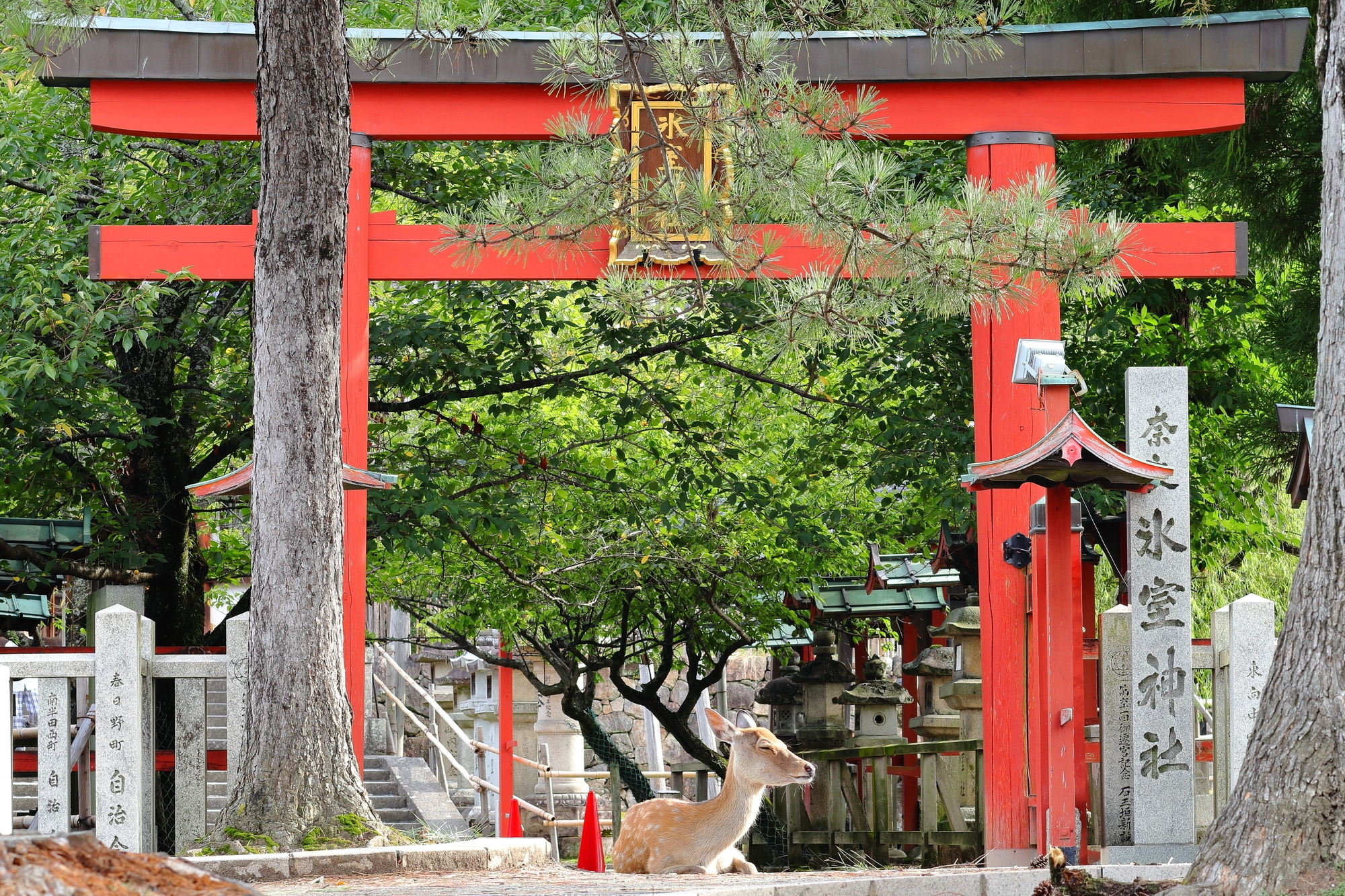 Nara