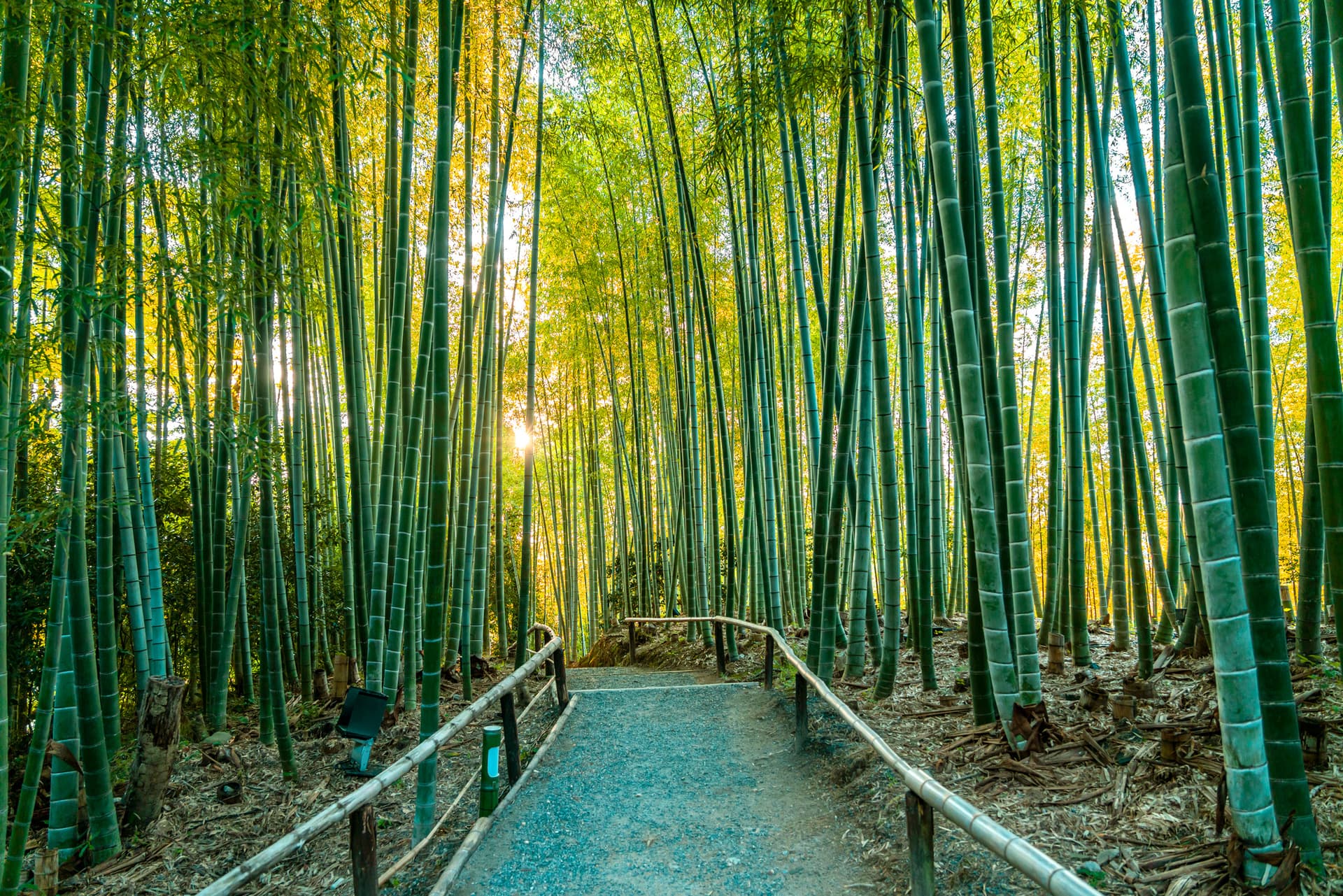 Japan Nature and Heritage Escape