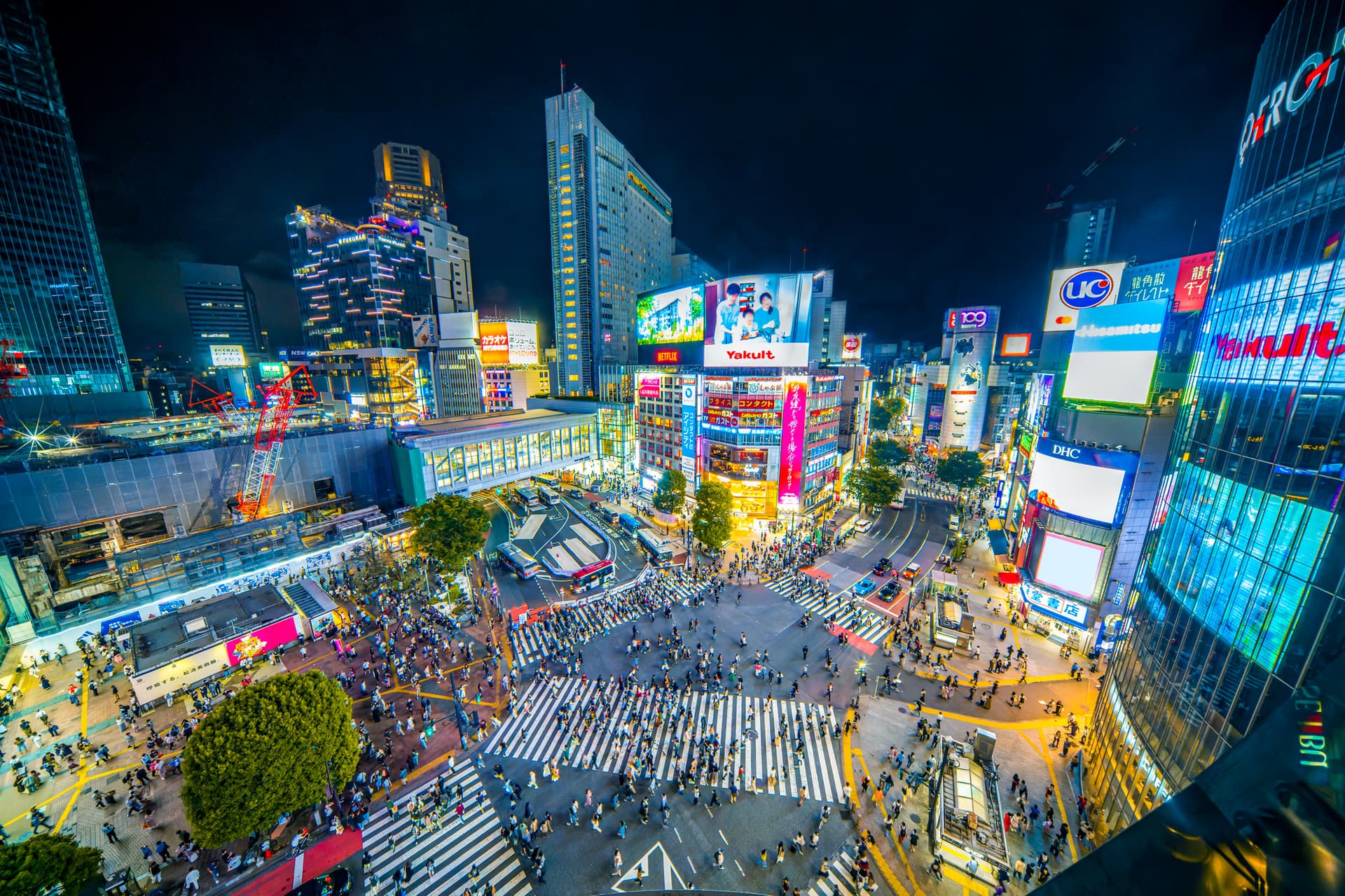 Tokyo city experience