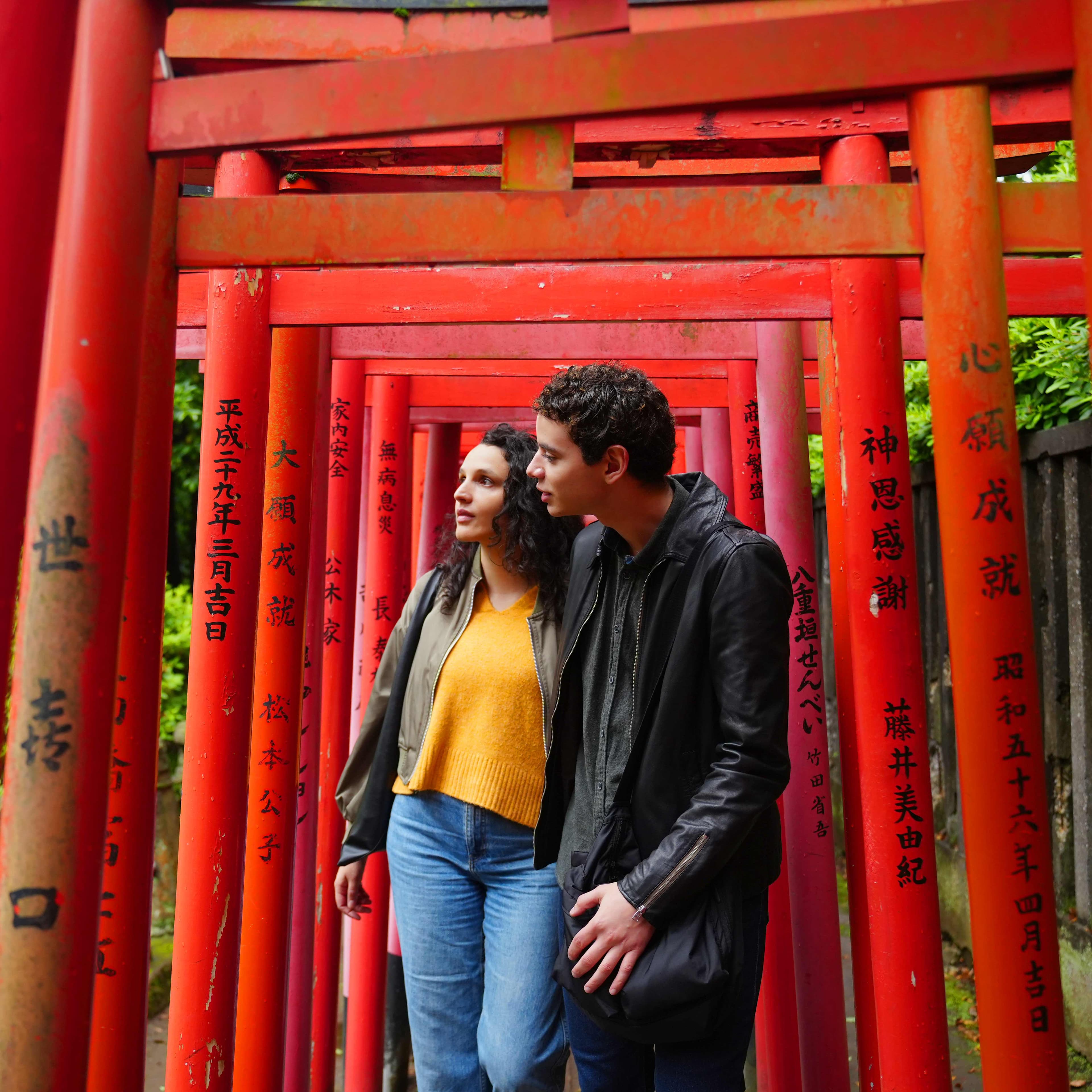 Culture & History tours in Japan