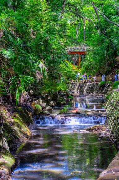 Nature & Outdoors