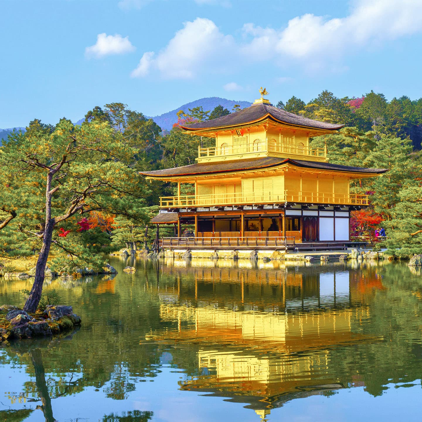 Iconic Pavilion & Serene Gardens
