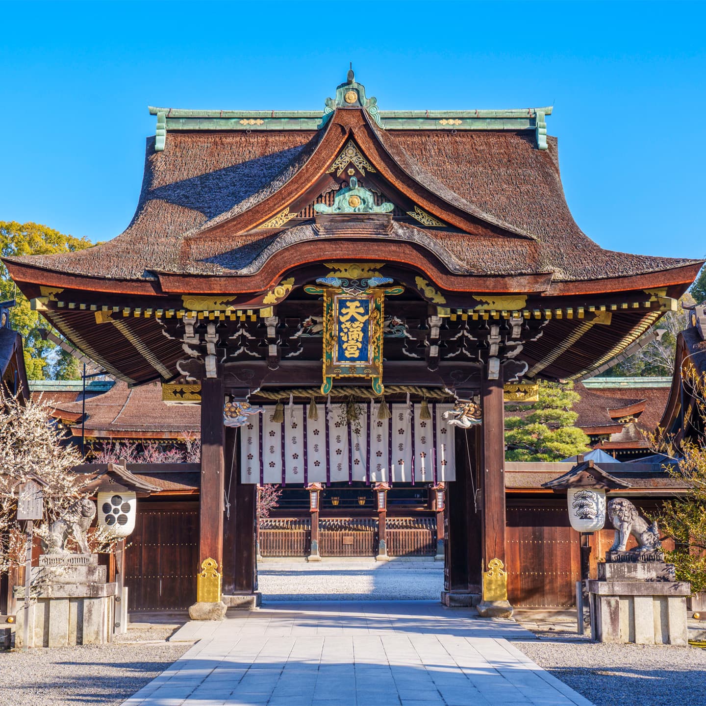 Seasonal Beauty & Local Stories