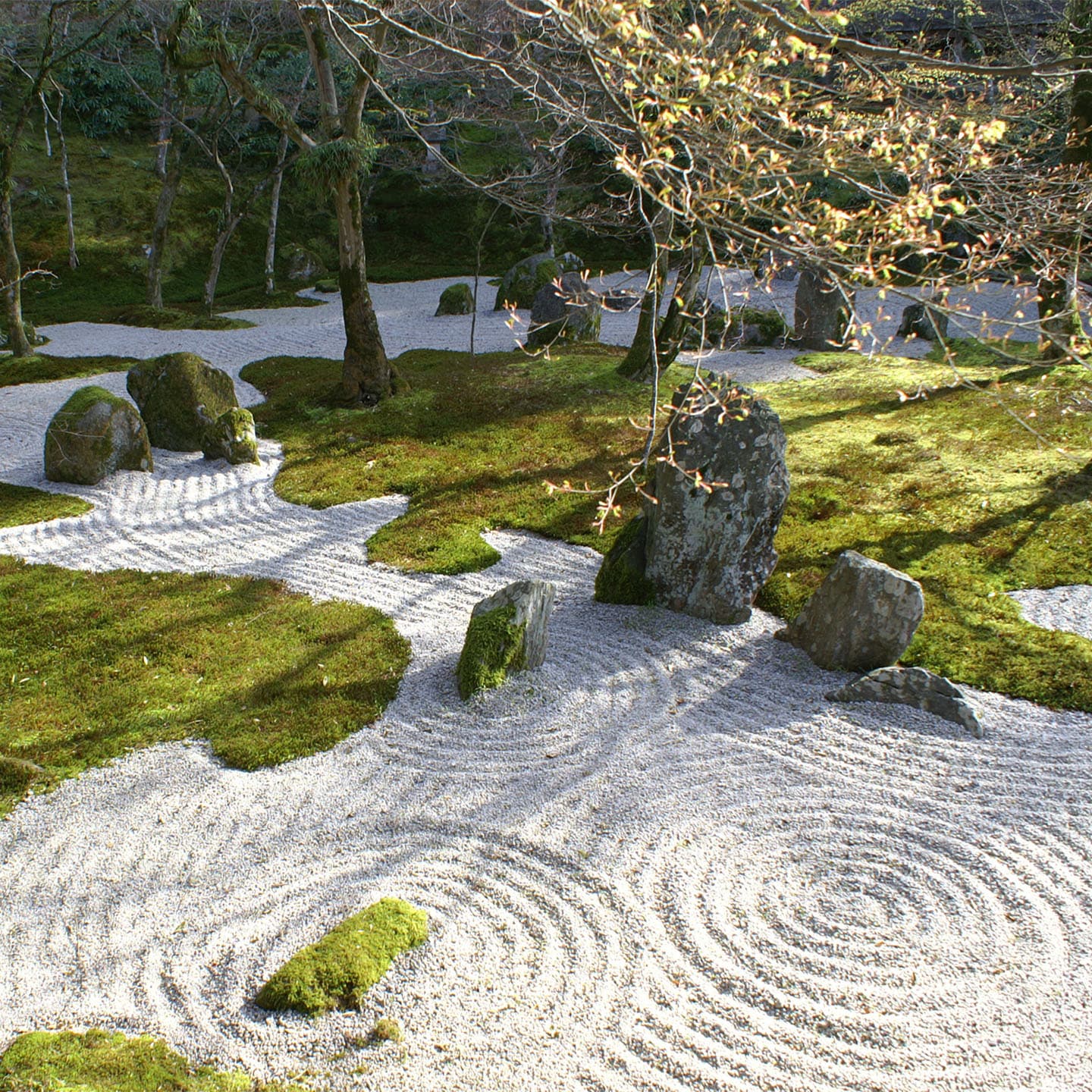 Meet at Kamakura Station and start the tour.