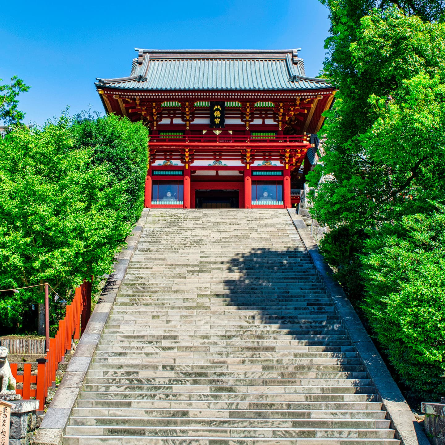 Live suggestions from your tour leader.