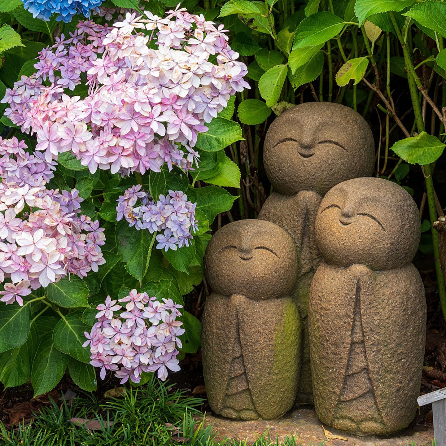 Experience a sophisticated adventure.