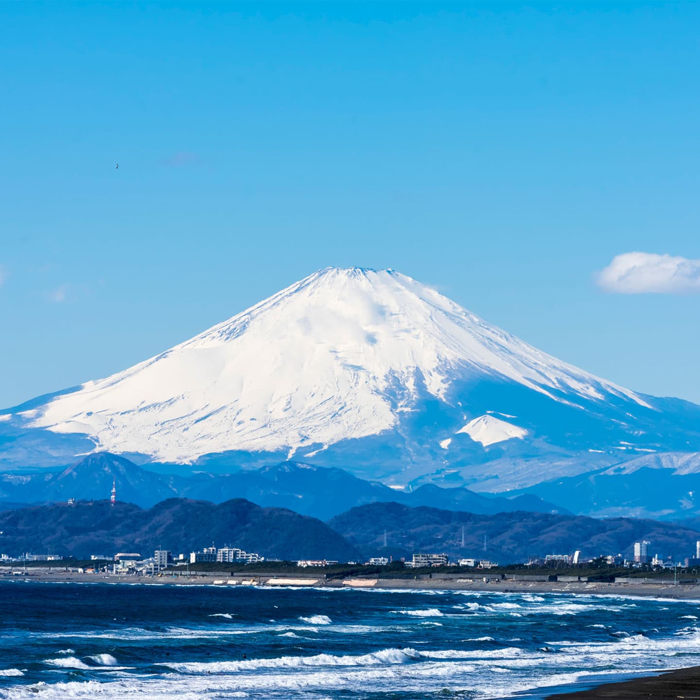 Real-Time Seaside Insights