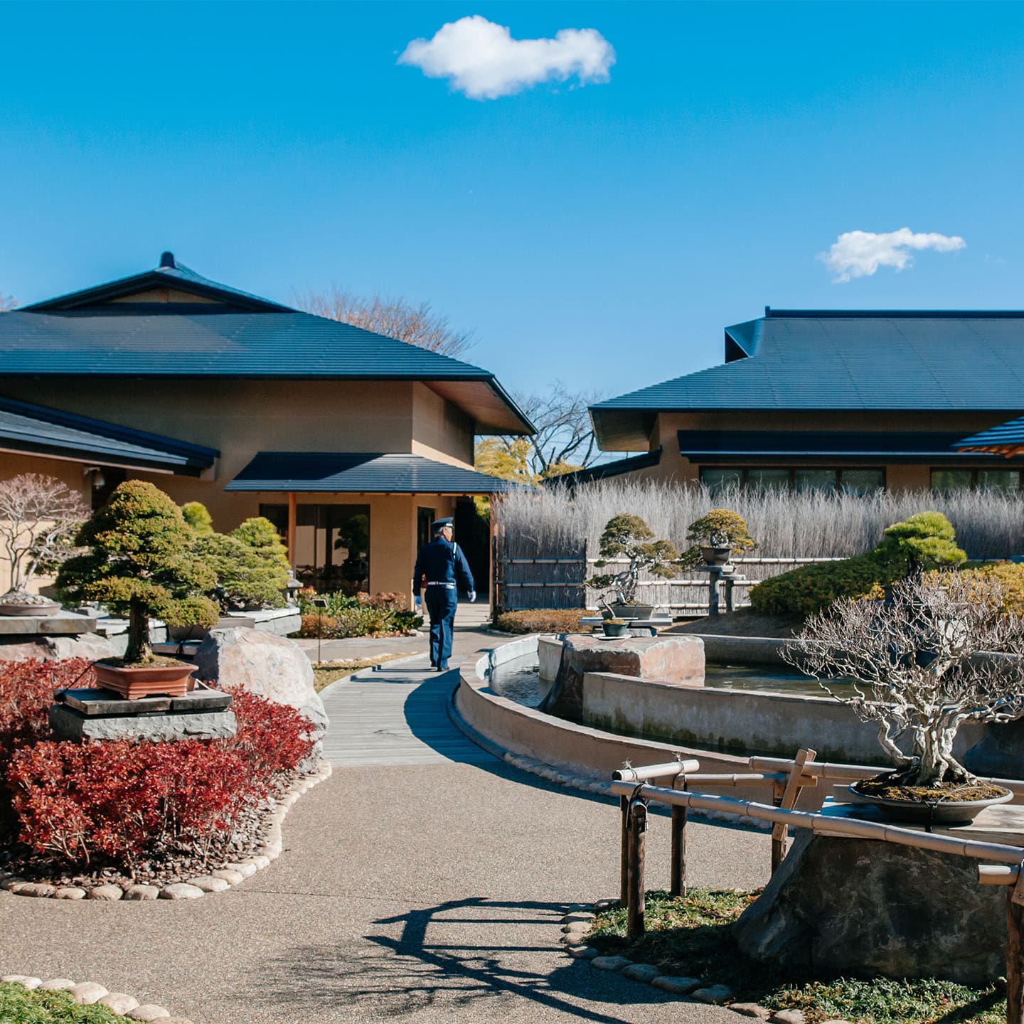 Living Art Exploration