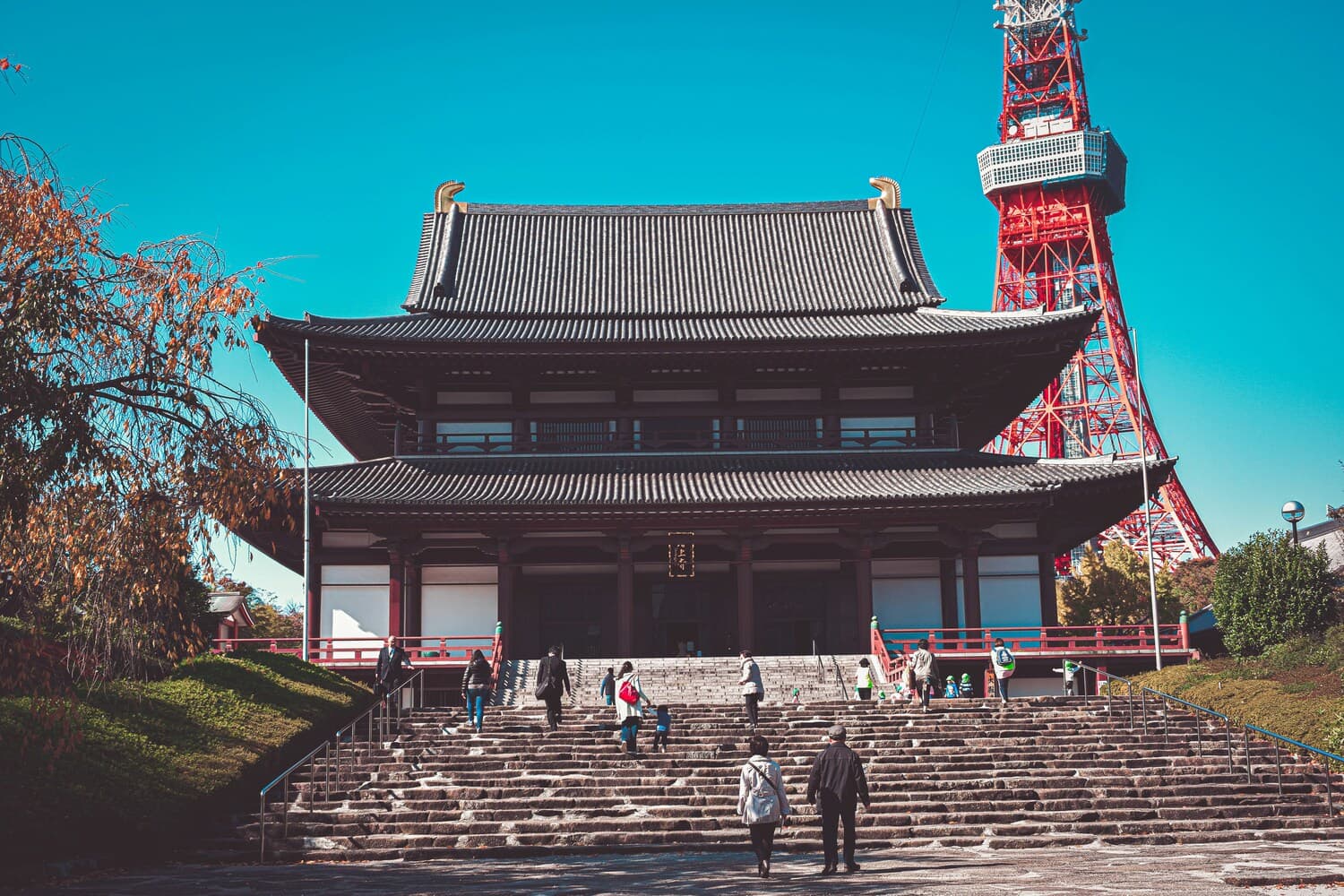 Tour Image