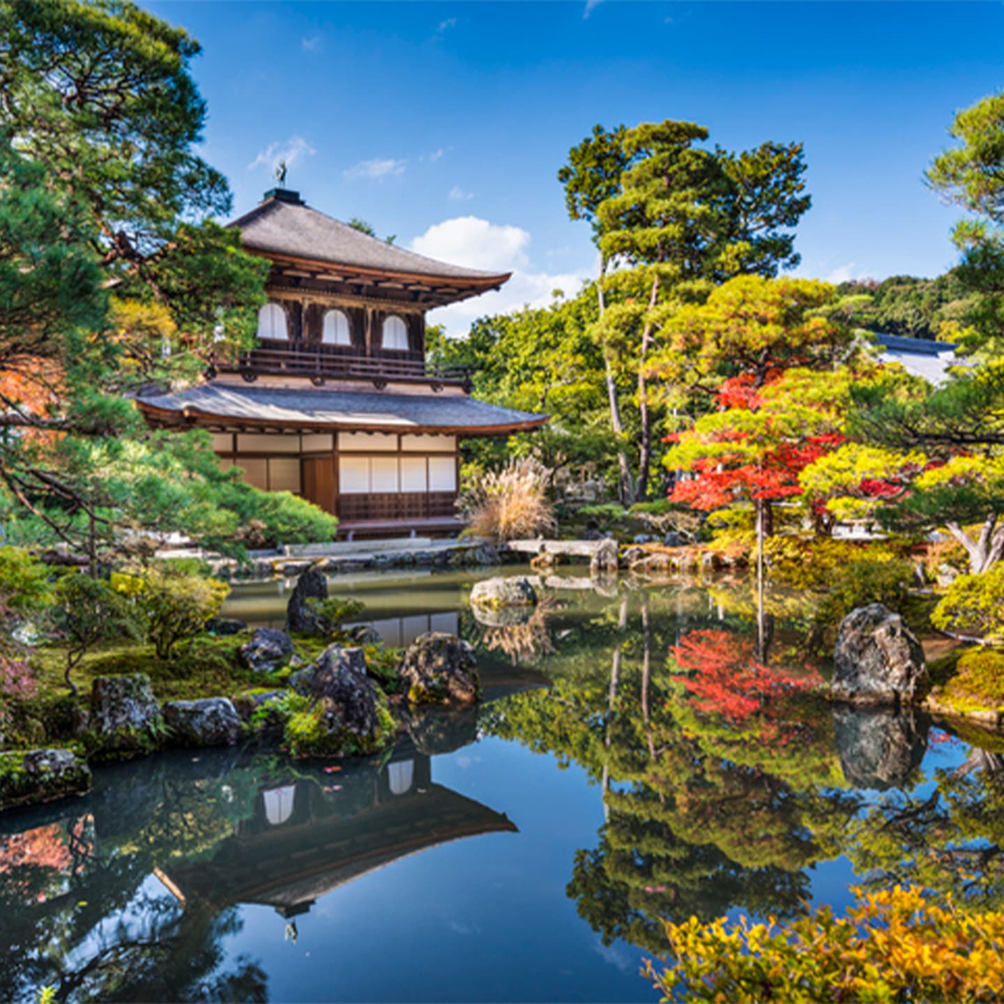 Tour Image