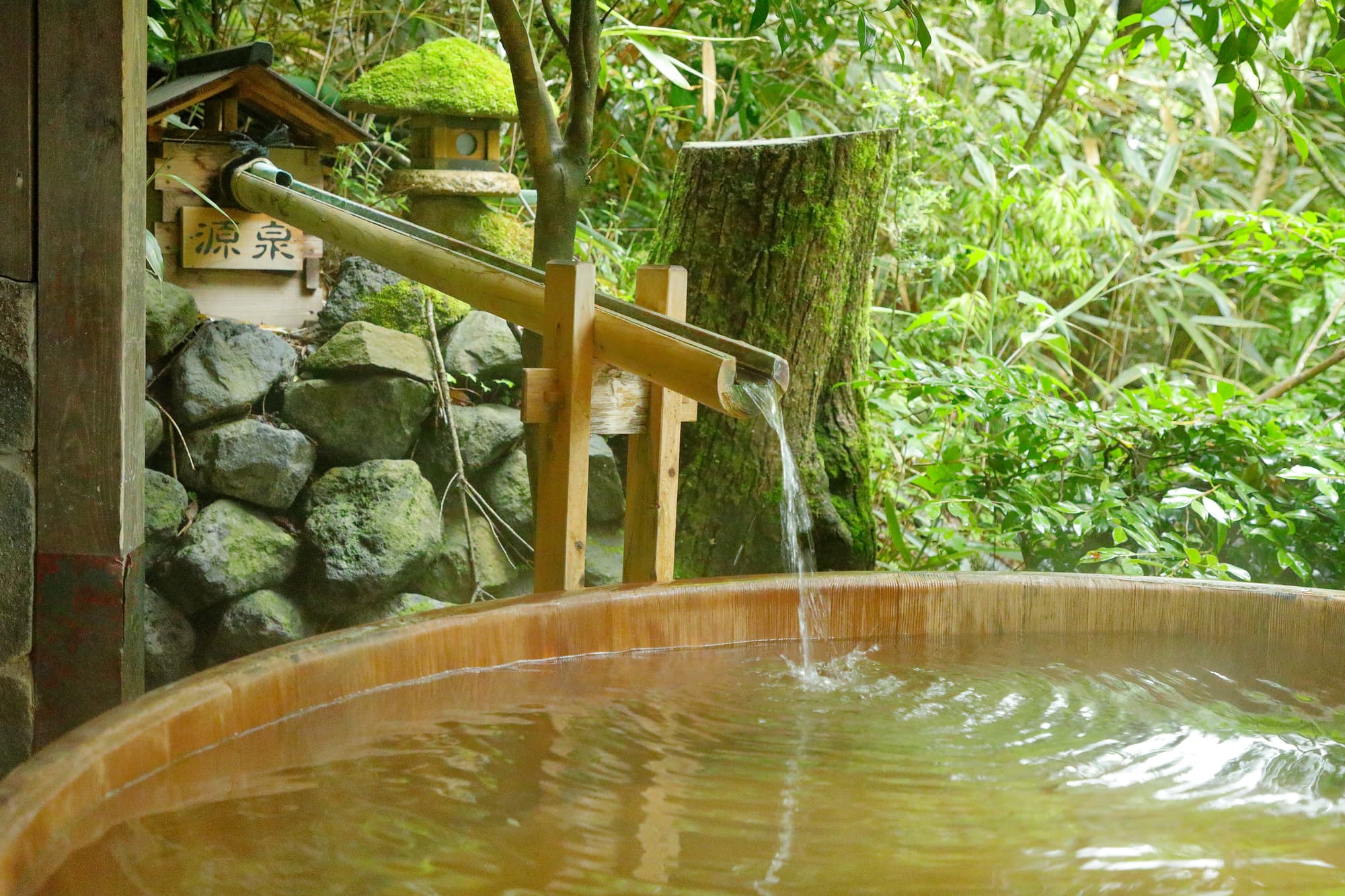 Ryokan Style Stay in Hakone