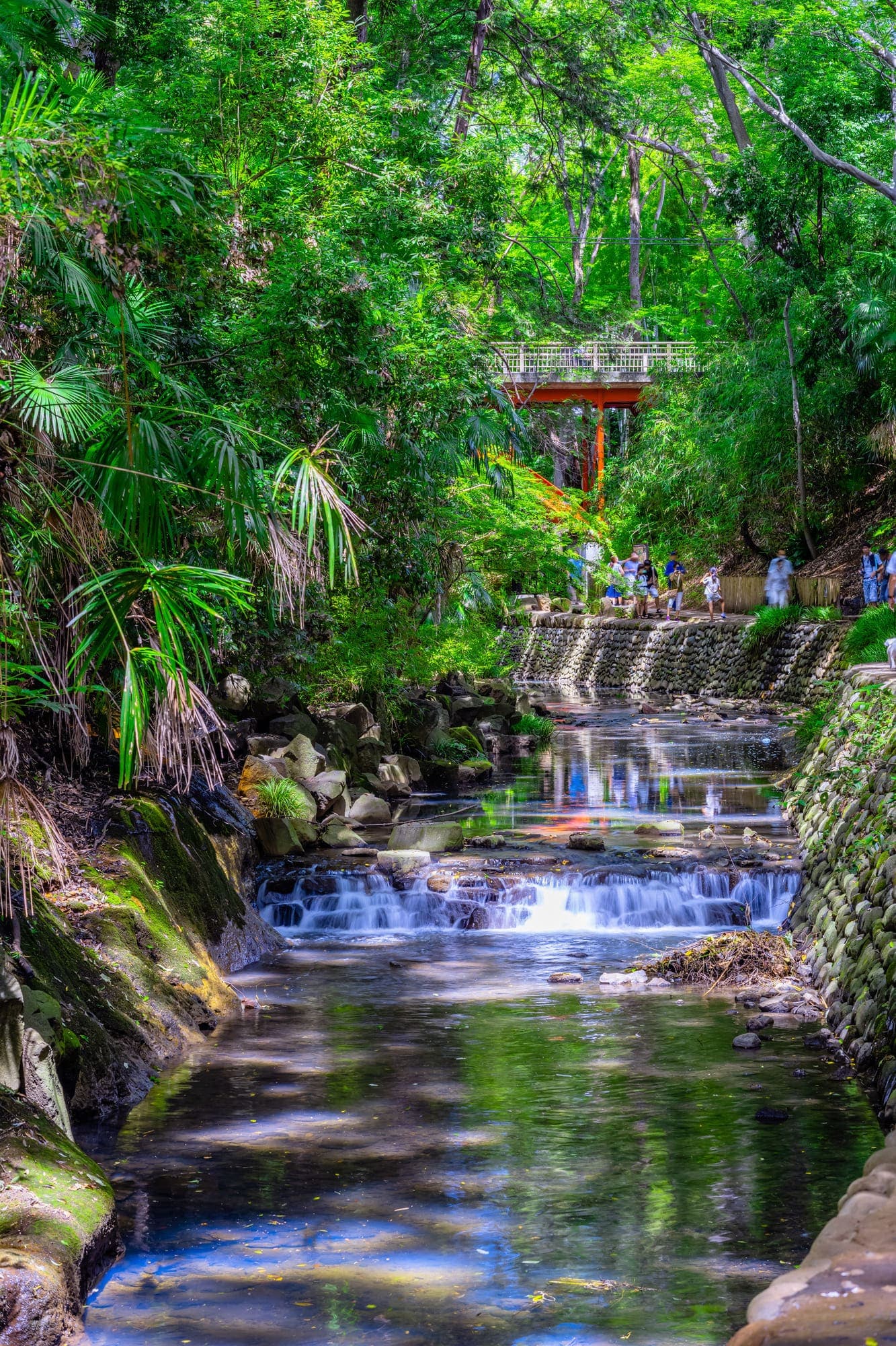 Nature & Outdoors