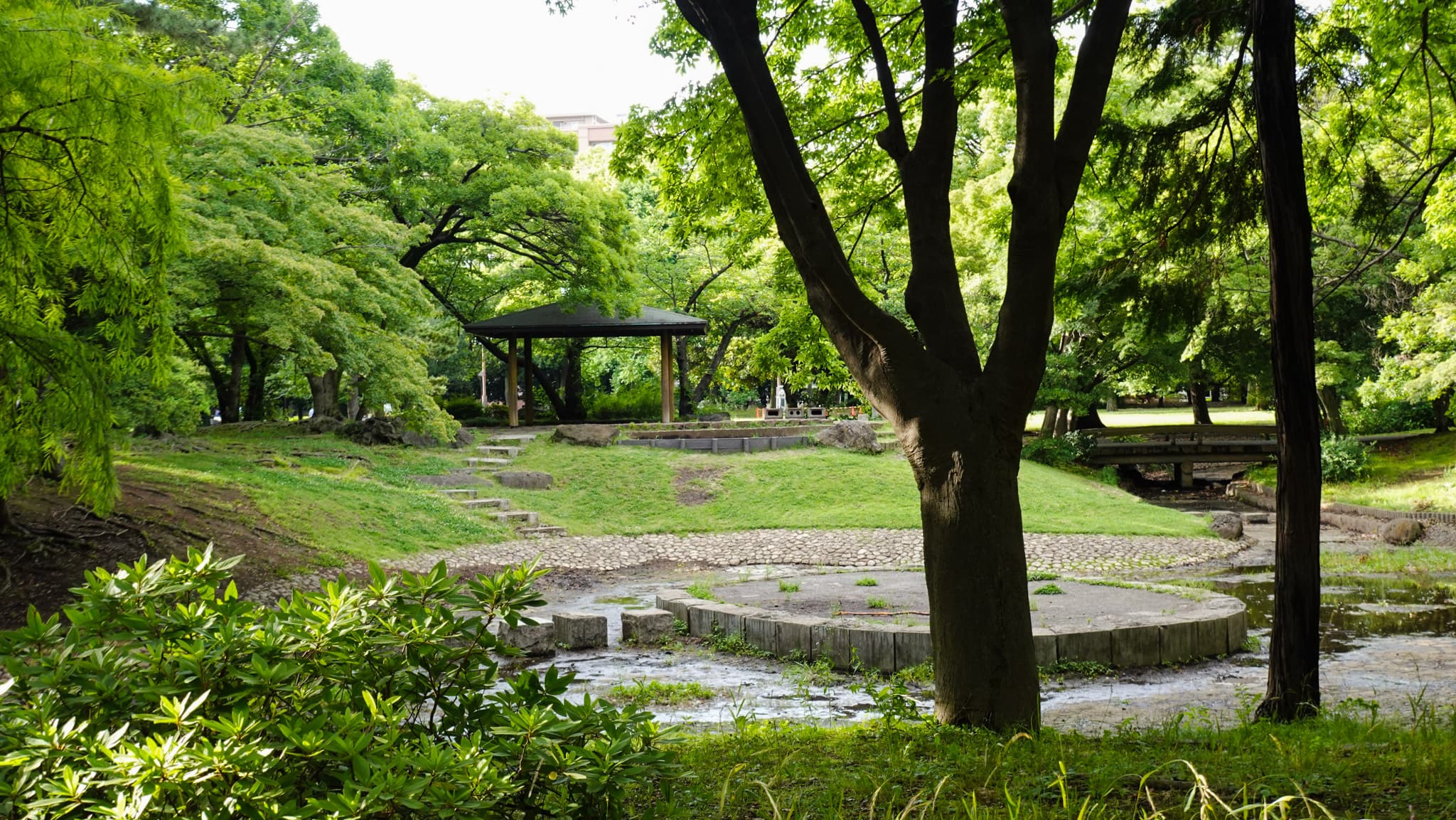 Tour image 3