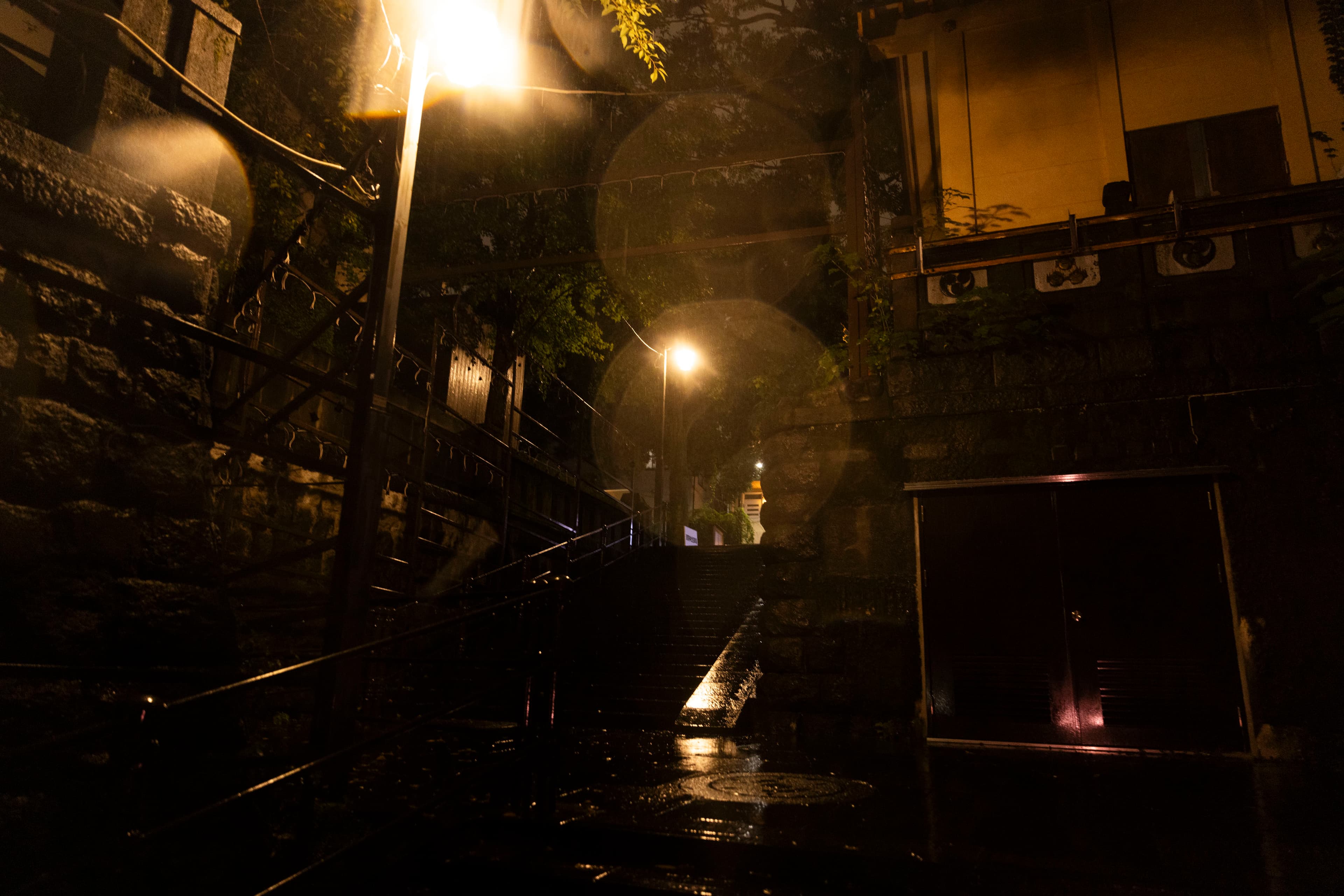 A rain-soaked stone stairway glowing under a lone streetlight