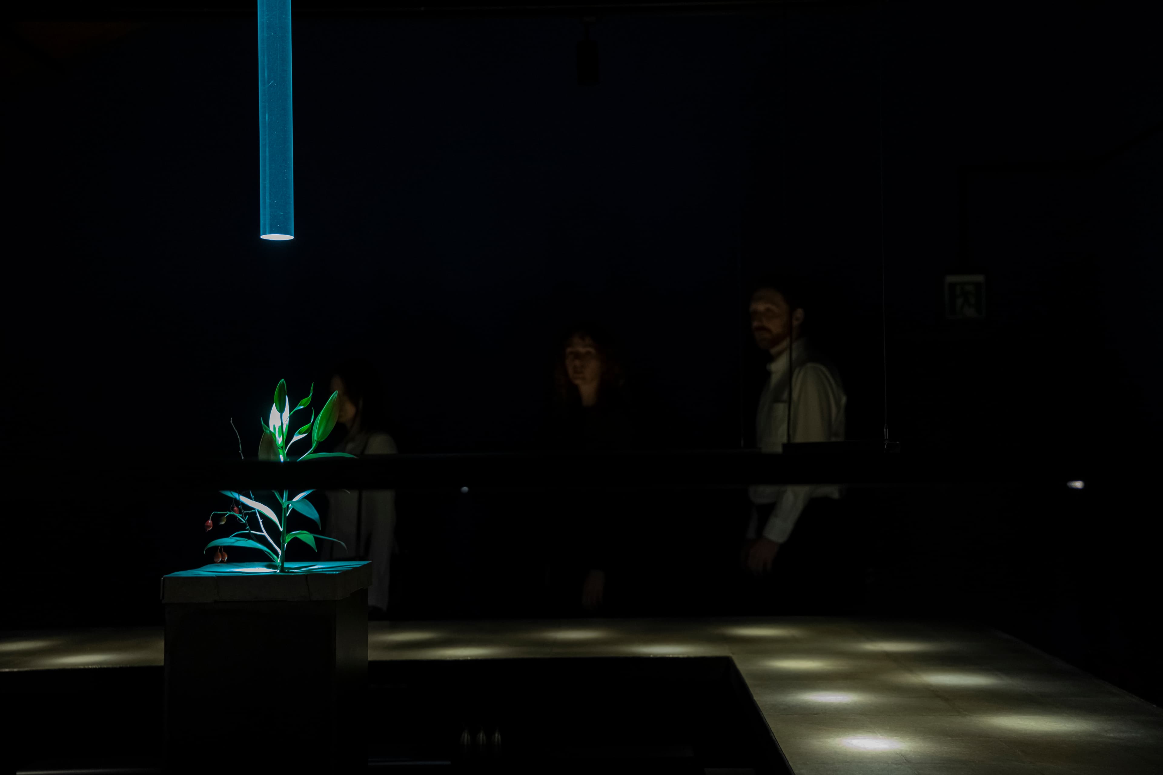 A group of people approaching a dimly lit bar