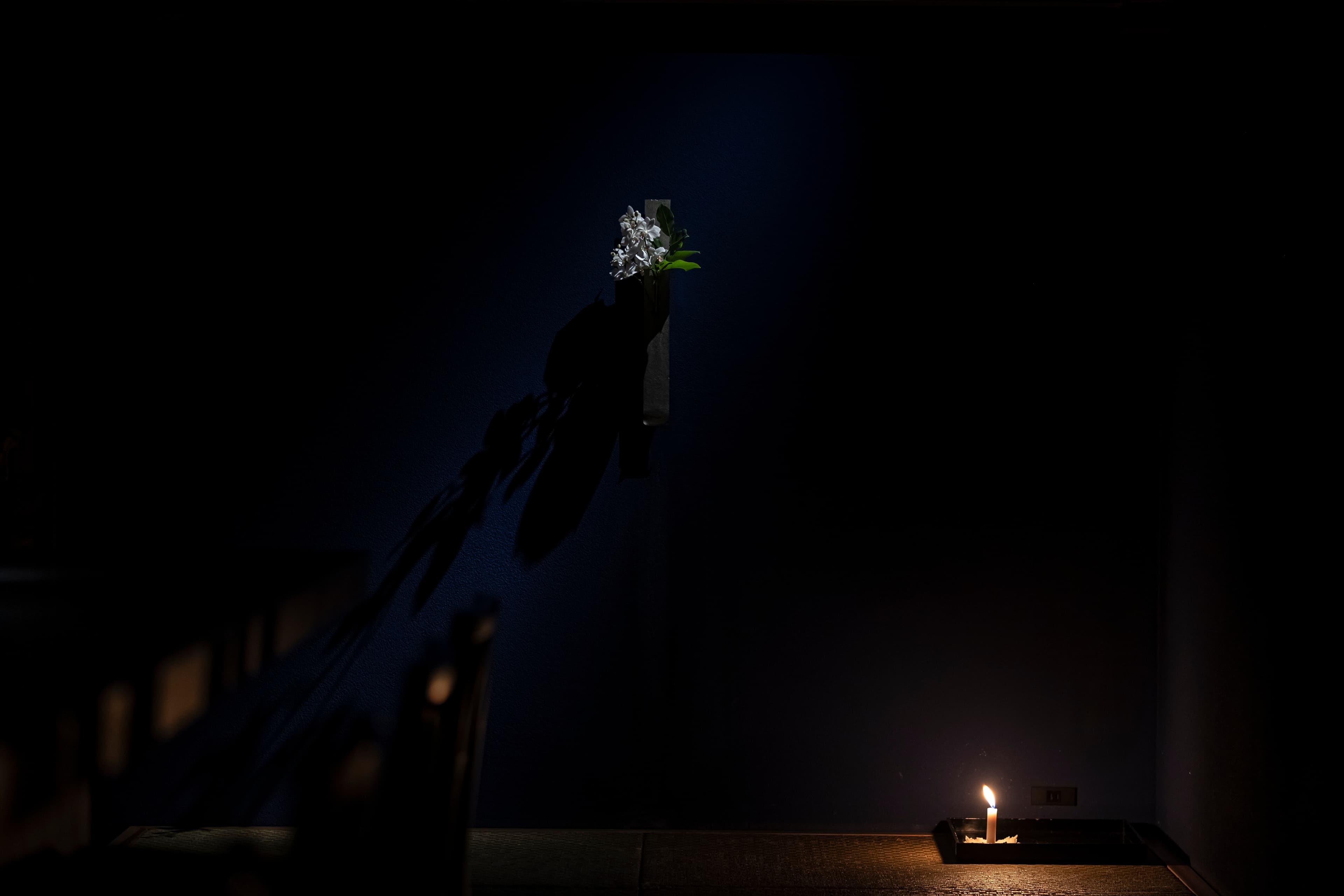 A flower in a dark tatami room