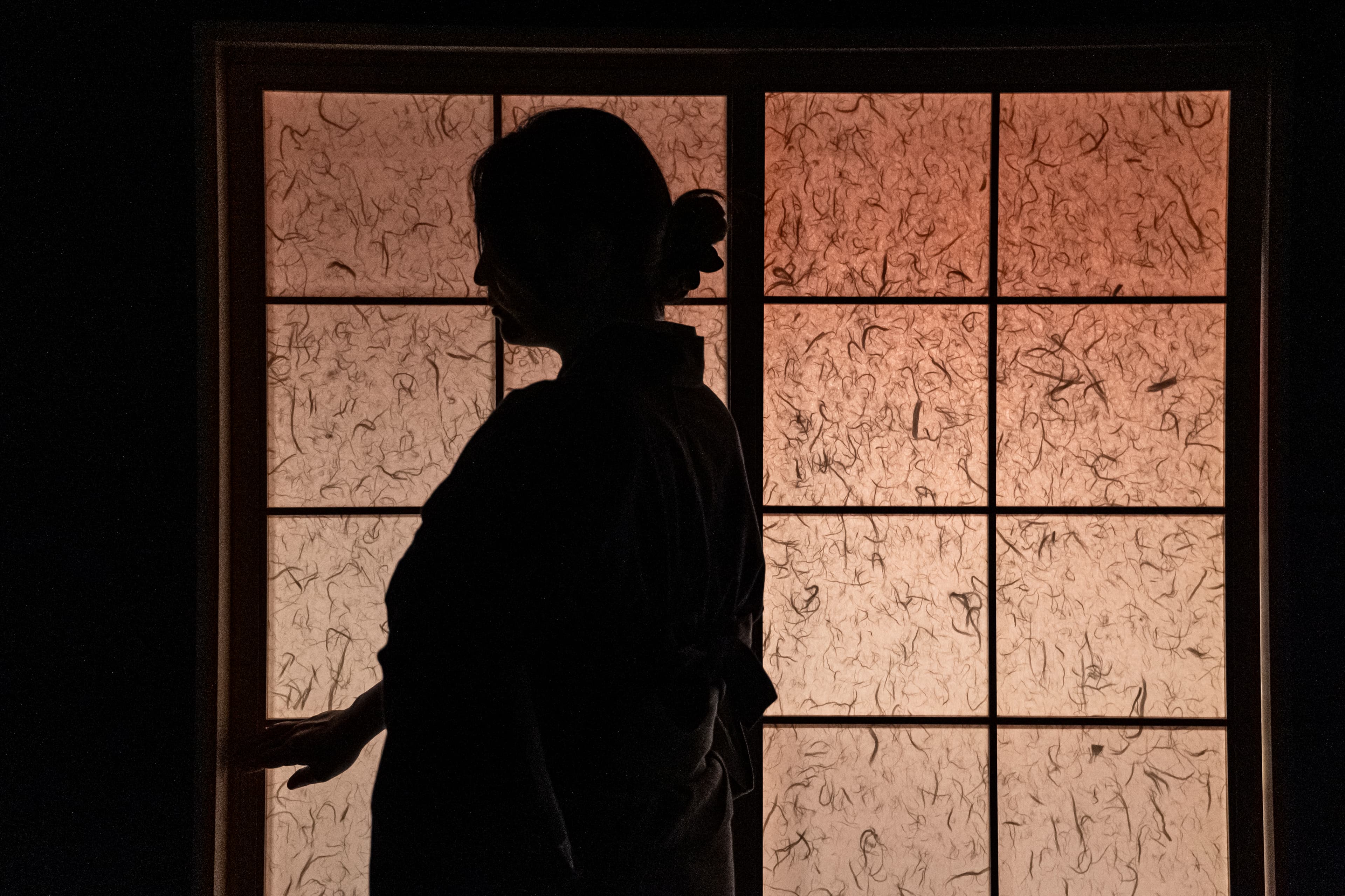 A woman in shadow opening a Japanese paper door