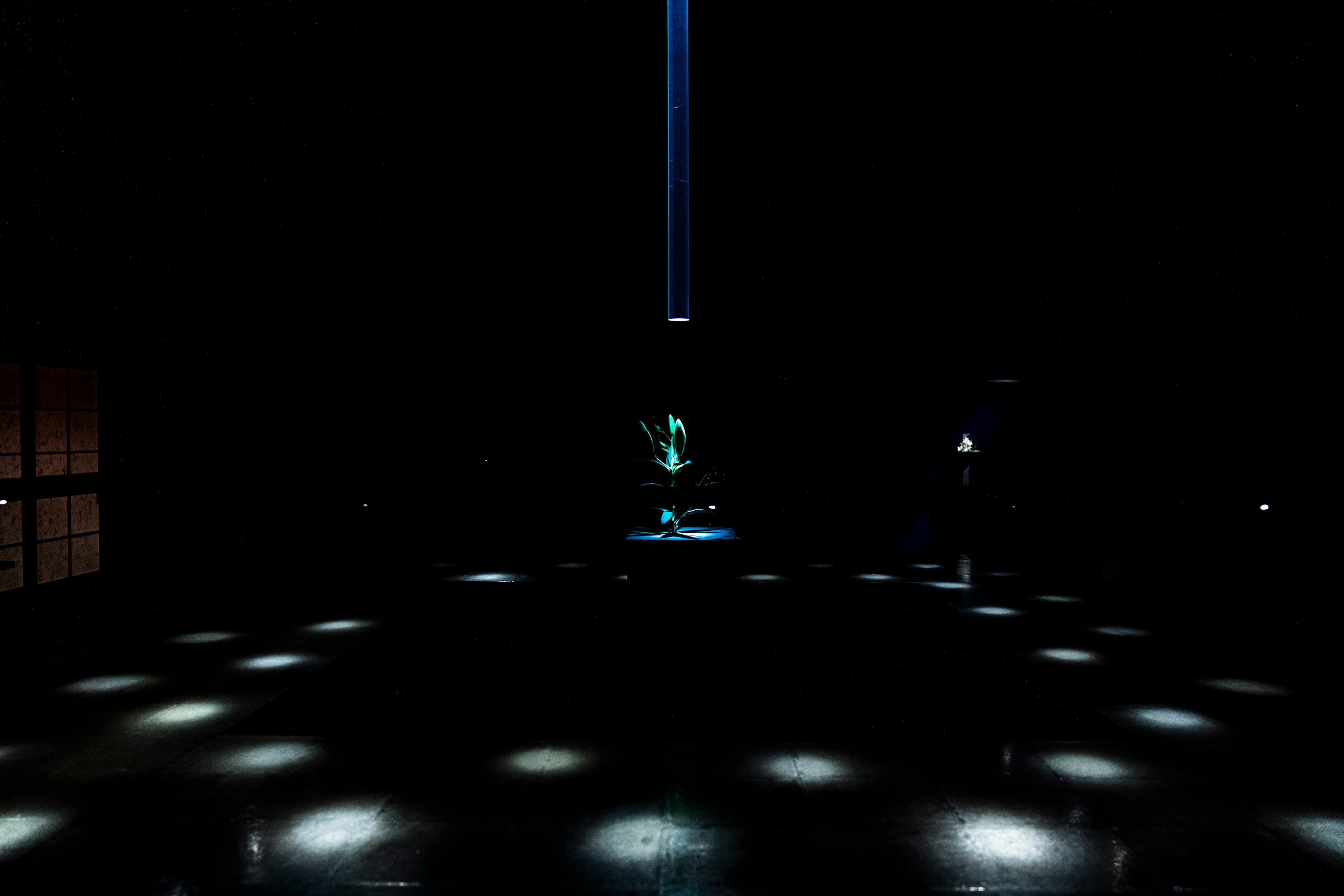 A wide bar counter dimly lit