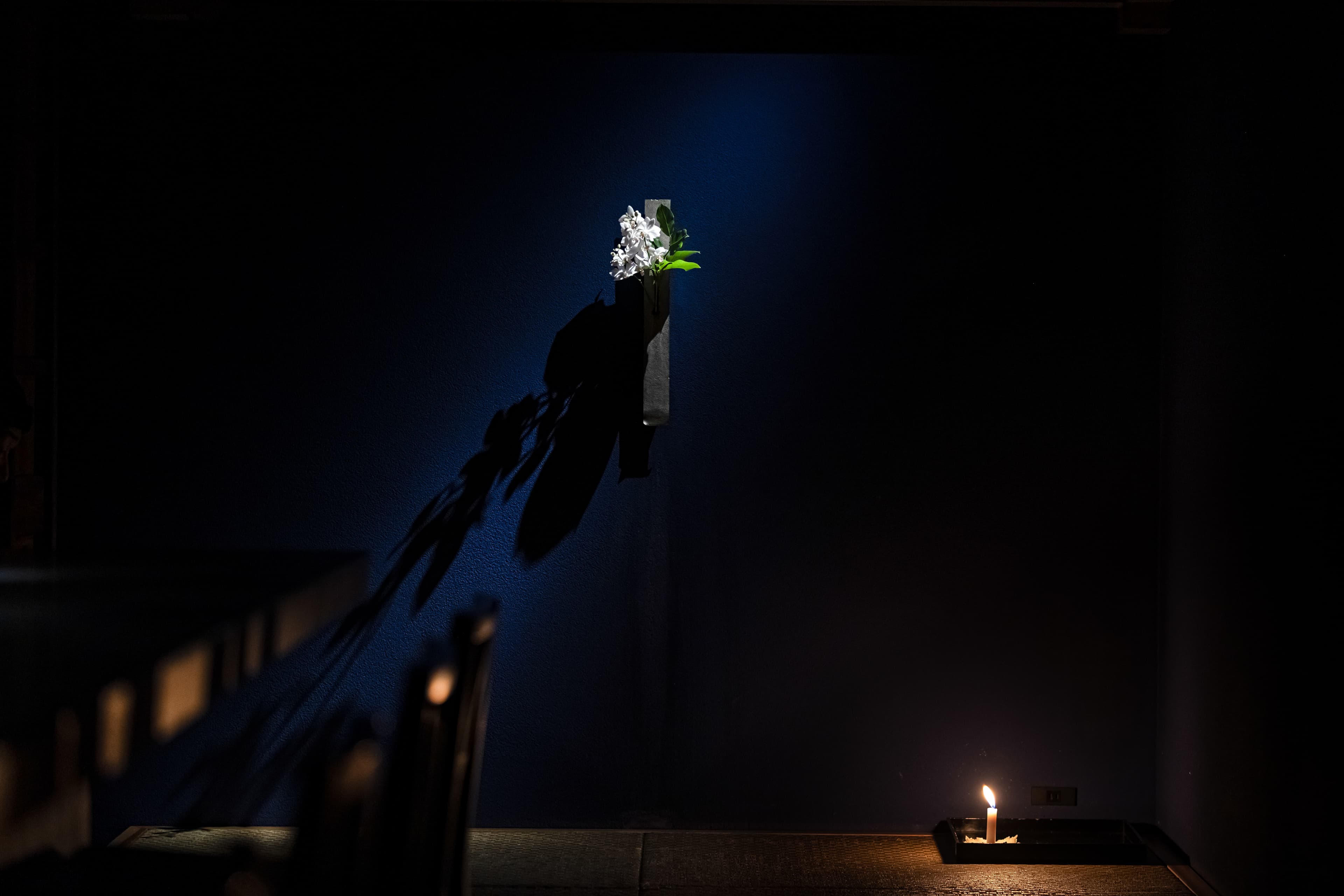 A flower in a dark tatami room