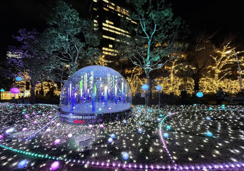 Tokyo Christmas Illuminations 2025: Best Winter Lights