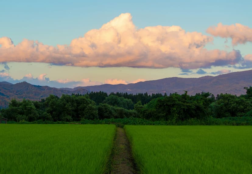 Over-Tourism in Japan: A Sustainable Travel Future