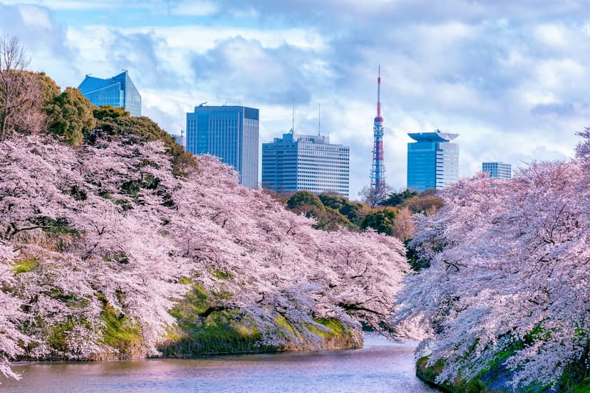 Spring in Japan: What to Expect Beyond Cherry Blossoms