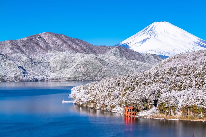 What to Do in Japan in January: Winter Travel Guide