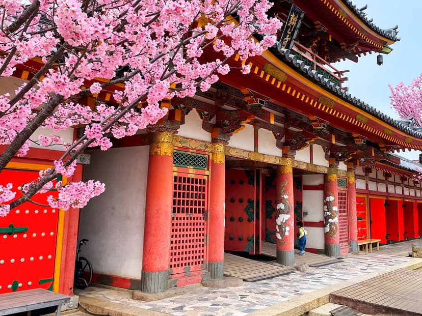 Cherry Blossom Season in Japan: Best Time by Region