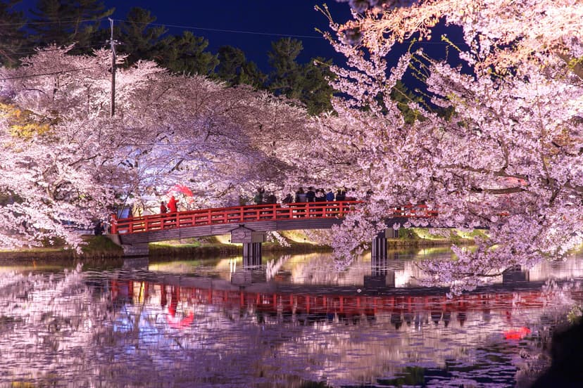 Sakura Festivals in Japan 2026: The Best Hanami Celebrations to Experience This Spring