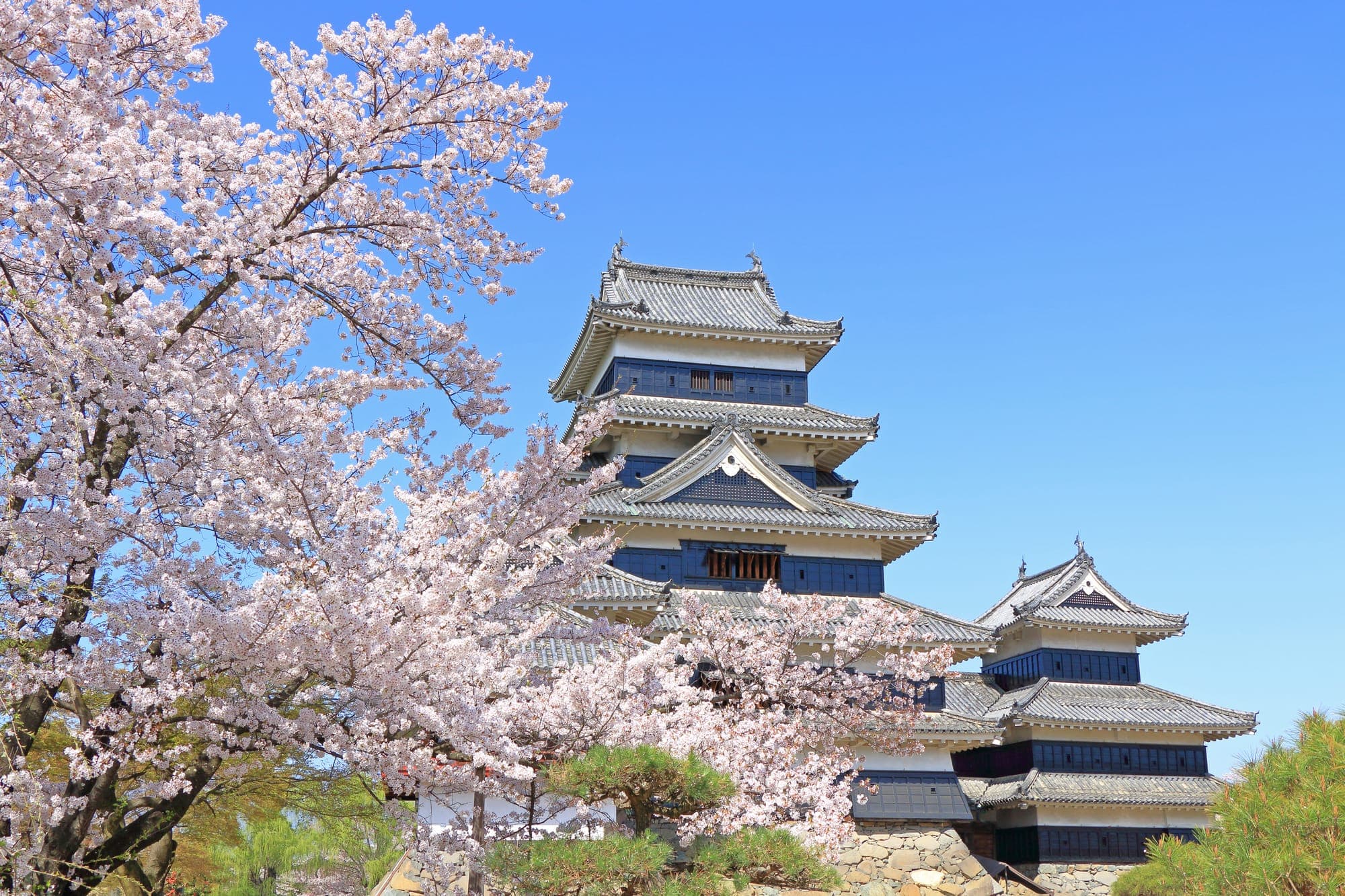 Mastering Solo Female Travel in Japan: Safety, Tips, and Recommendations
