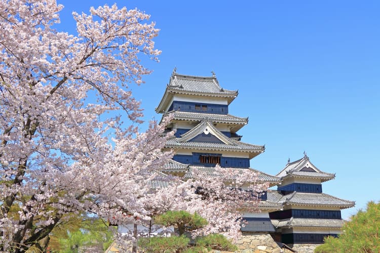 Mastering Solo Female Travel in Japan: Safety, Tips, and Recommendations