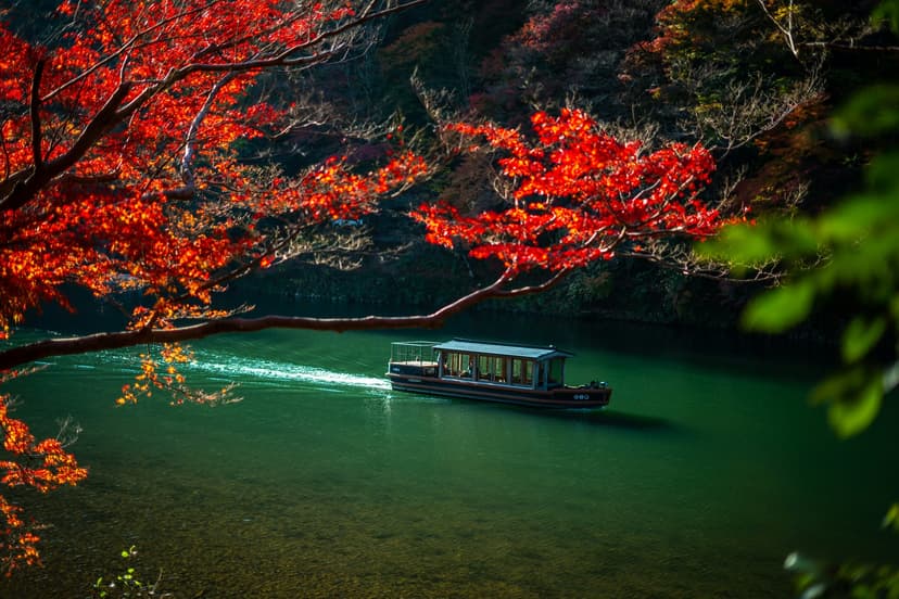 Autumn in Japan: The TOMOGO! Guidebook