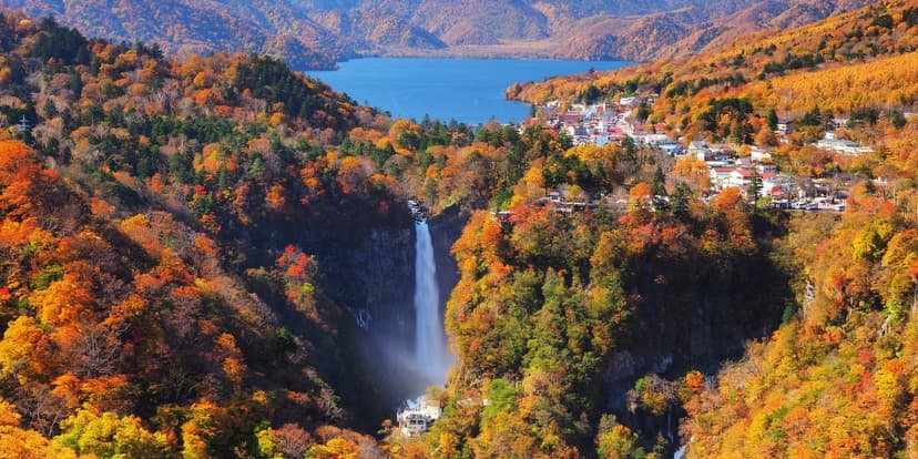 Weather in Japan in November: Temperatures, Foliage and What to Wear