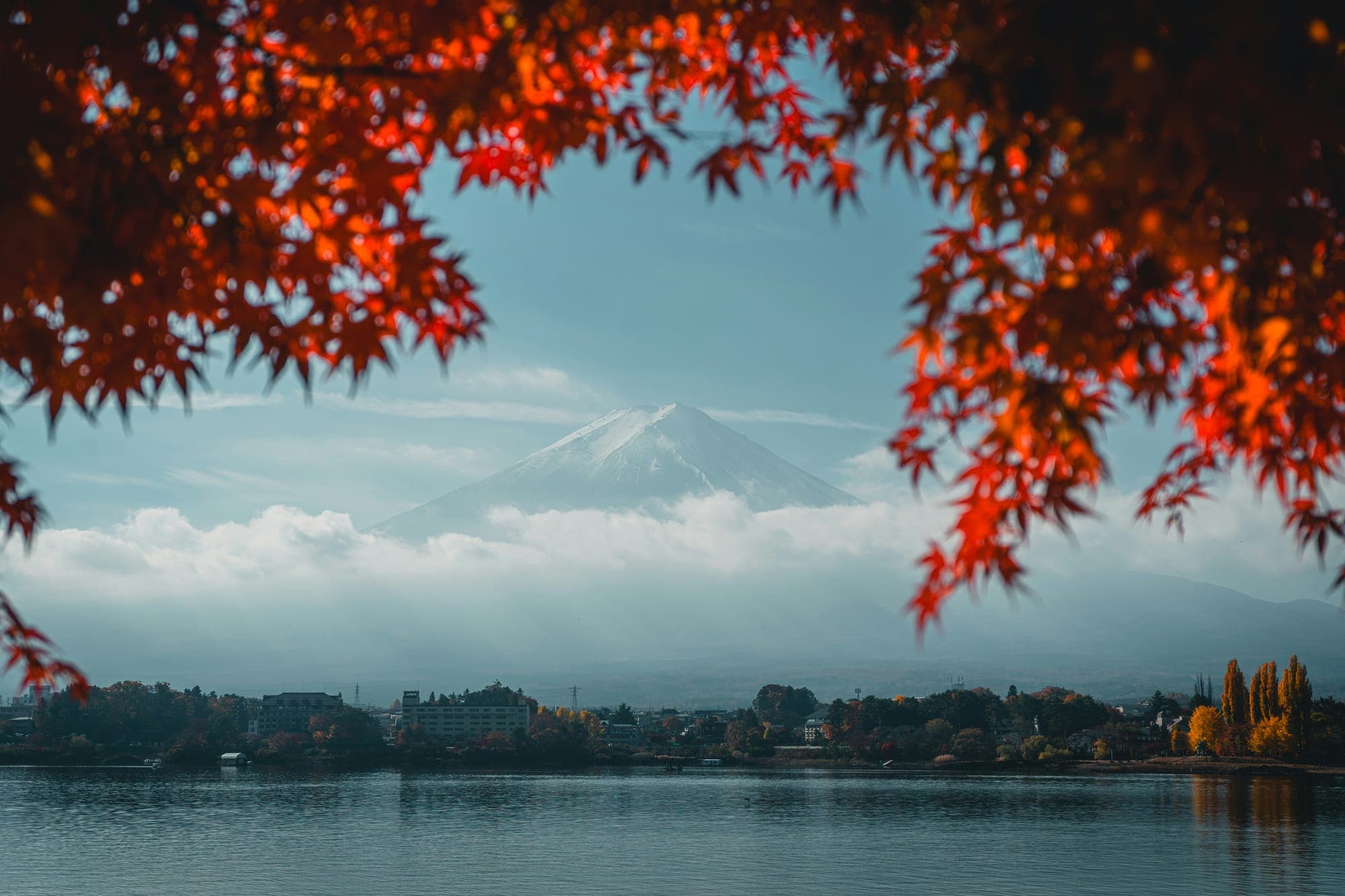 Japan Fall Foliage Forecast 2026: When & Where to See Autumn Leaves