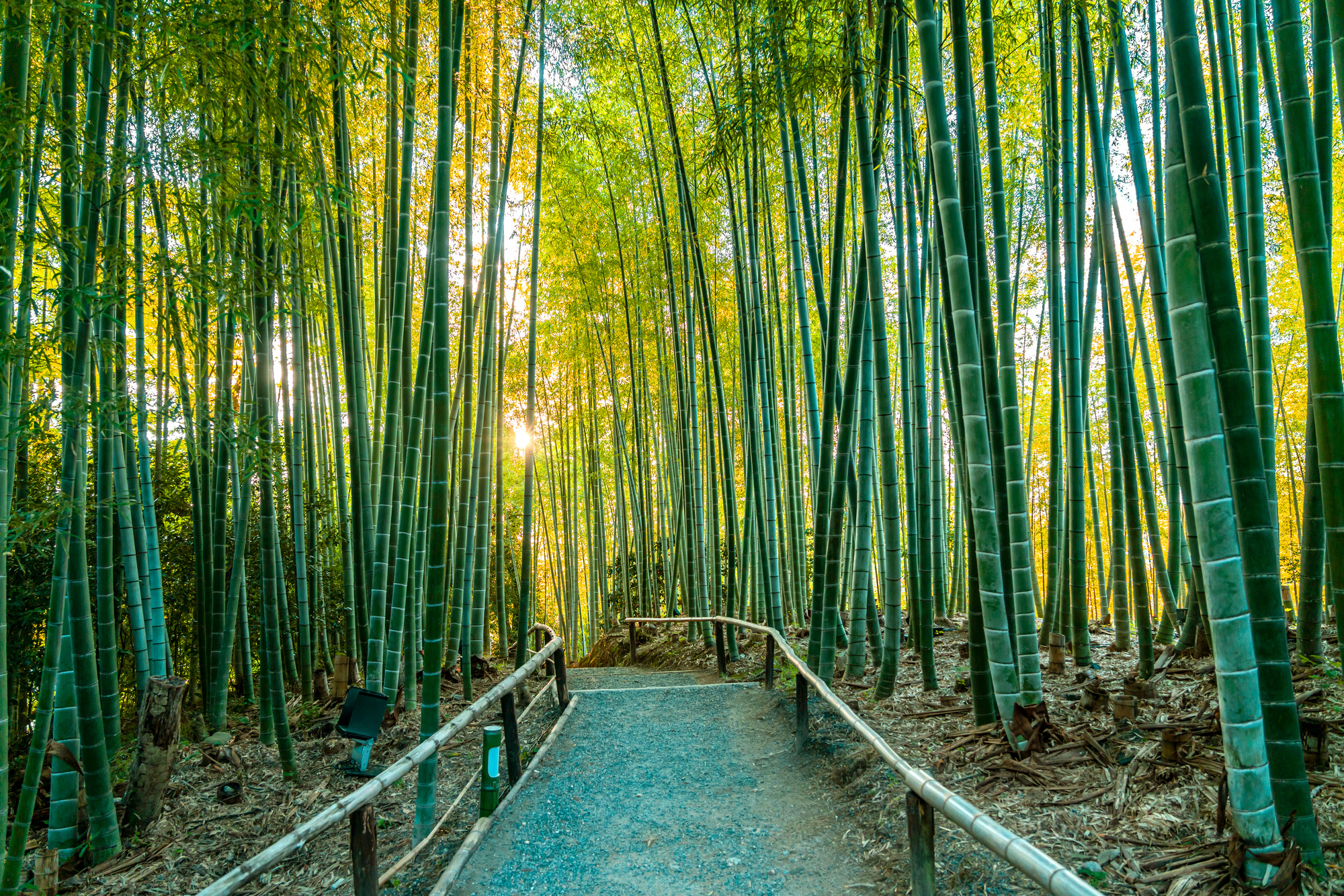 Japan Nature and Heritage Escape